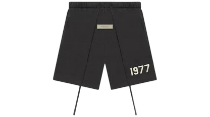 ESSNTIALS 1977